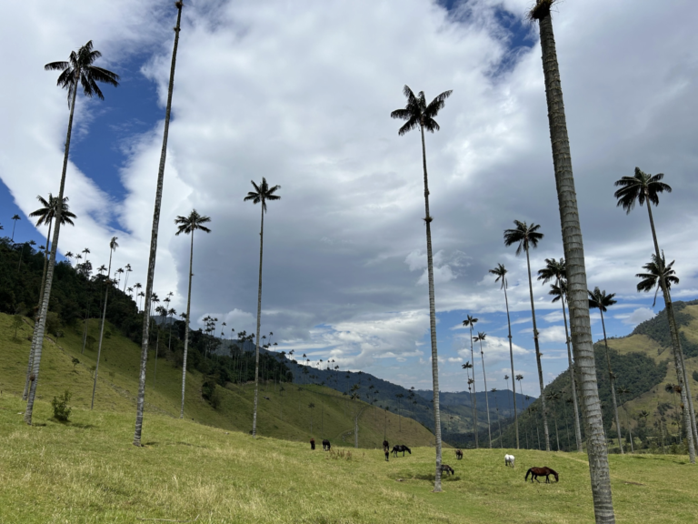 Salento, Colombia (2024) Irene Ortiz Gala